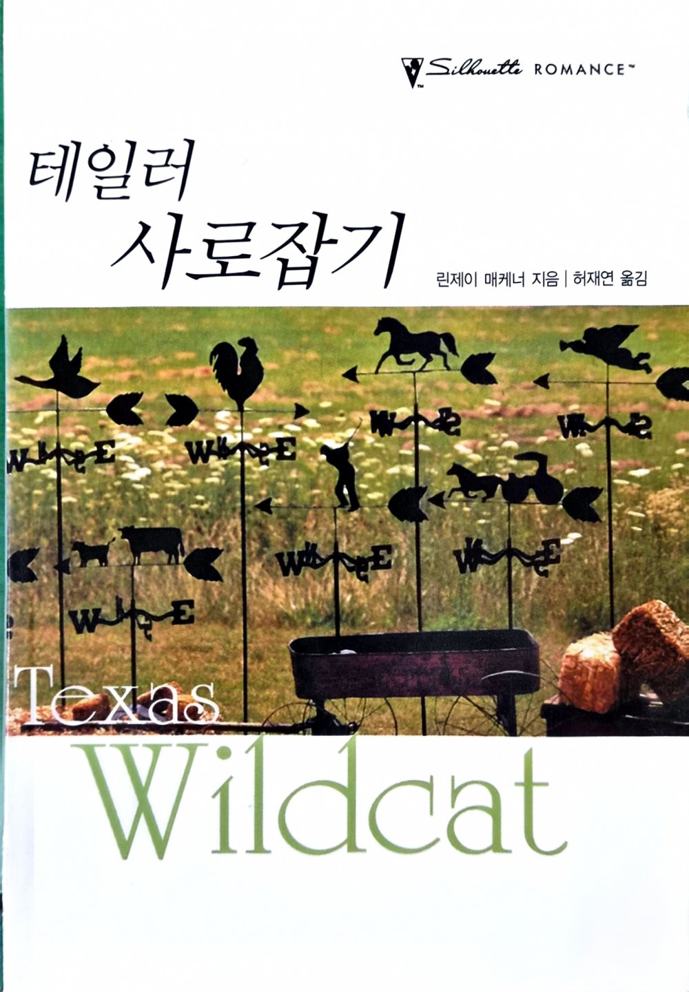 테일러 사로잡기 (Q-158)
