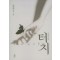 터치 : 그녀의 손길