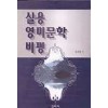 실용 영미문학 비평