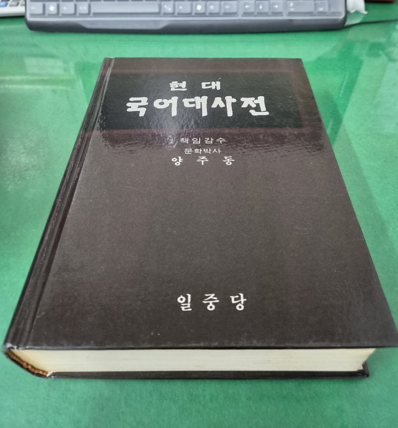 현대 국어대사전