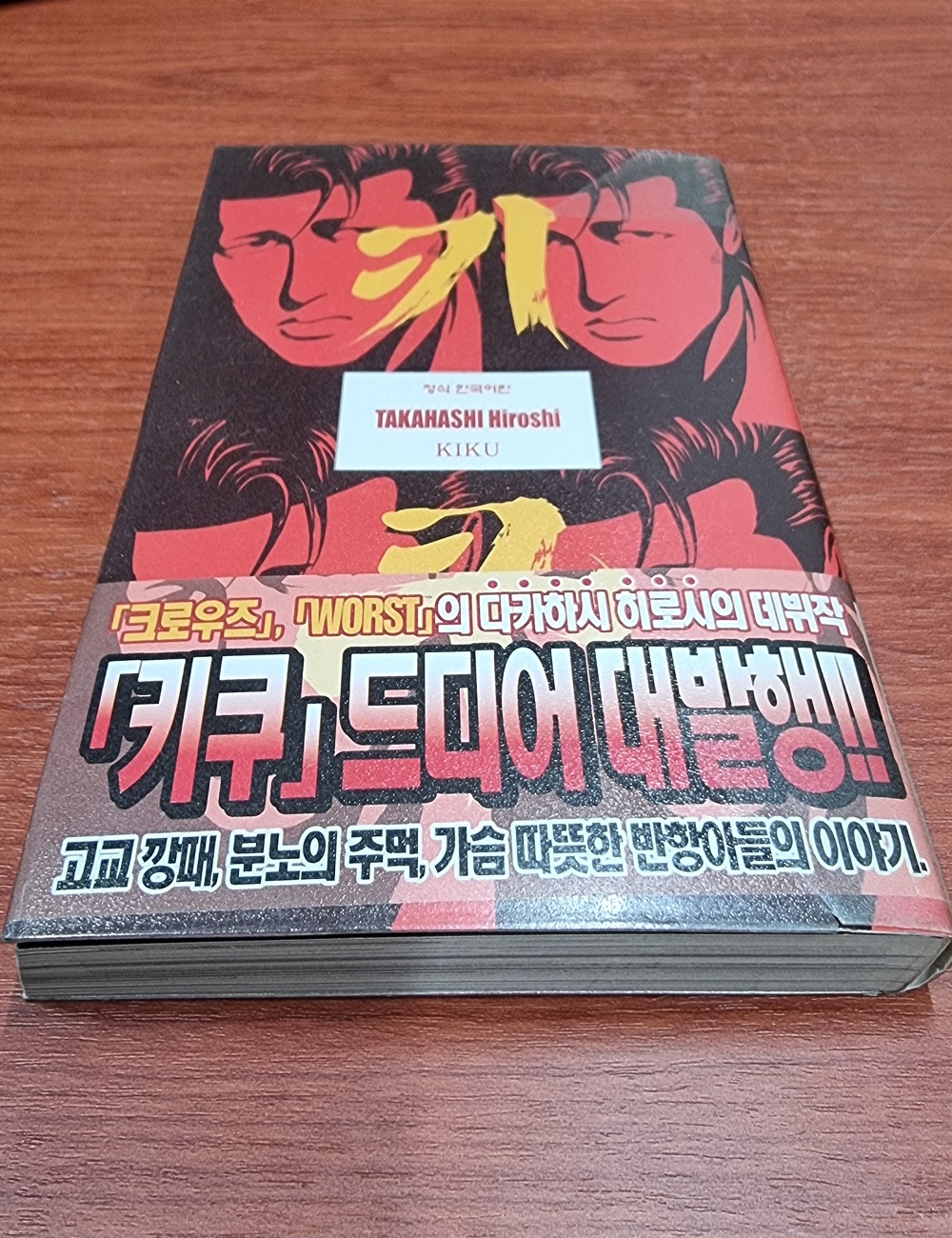 키쿠 KIKU 크로우즈 작가 데뷔작