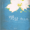 햇살속으로(단편) 신지안