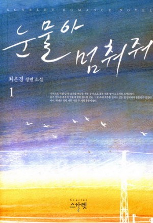 눈물아멈춰줘(1~2완) 최은경