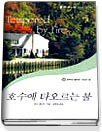 호수에타오르는불(T-056)