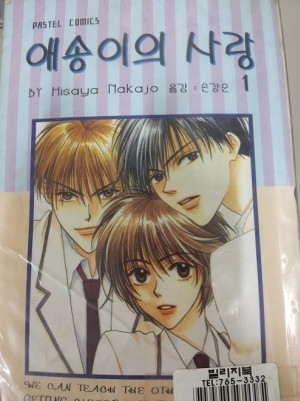 애송이의사랑(1~9) 1995년 아름다운그대에게 해적판