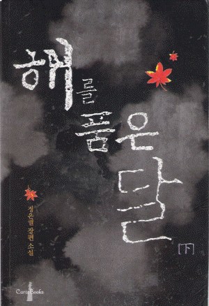 해를품은달(상,하) 정은궐
