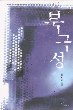 북극성(단편) 정서하