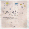 건넛집너구리(단편)이화