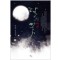 달의꽃(단편) 손보경