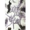 사도신검(1~5완) 신무협