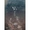 덫(1~2완)이아현