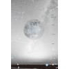 스타워즈   선우
