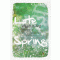 레이트 스프링 Late Spring