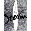 스톰 Storm(단편) 이미강